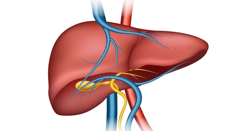 Dúvidas comuns sobre Cirurgia de Fígado respondidas por especialistas