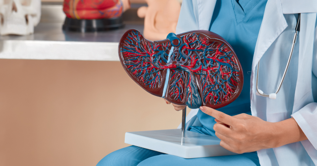 Mitos e Verdades sobre a Cirurgia de Figado